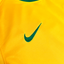 Brazil 2010 HOME