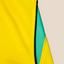 Brazil 2026 HOME