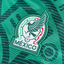 Mexico 2026 HOME Crop Top