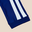 Japan 2026 HOME Player Version