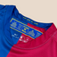 FC Barcelona 2008/09 Home