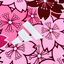 Japan Special Edition Sakura
