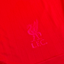 Liverpool 2006/07 Home