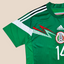 Mexico 2014 Home