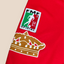 Toluca 2000/01 Home