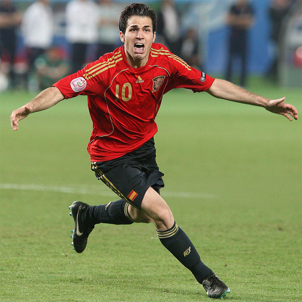 Spain 2008 Home