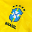 Brazil 2026 HOME Crop Top